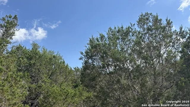 121 Agarita Spring Branch, TX 78070