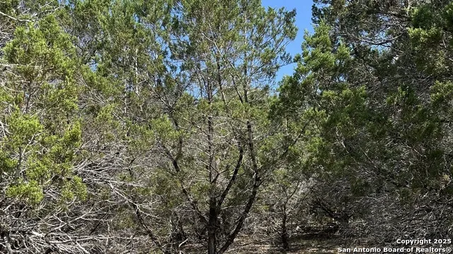 121 Agarita Spring Branch, TX 78070
