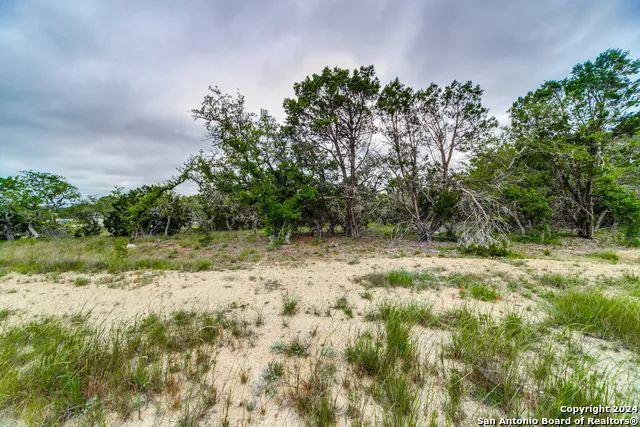 980 Scarlett Ridge Bulverde, TX 78163