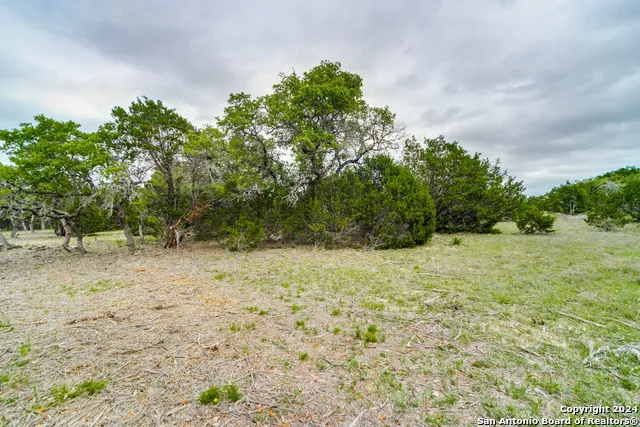 980 Scarlett Ridge Bulverde, TX 78163