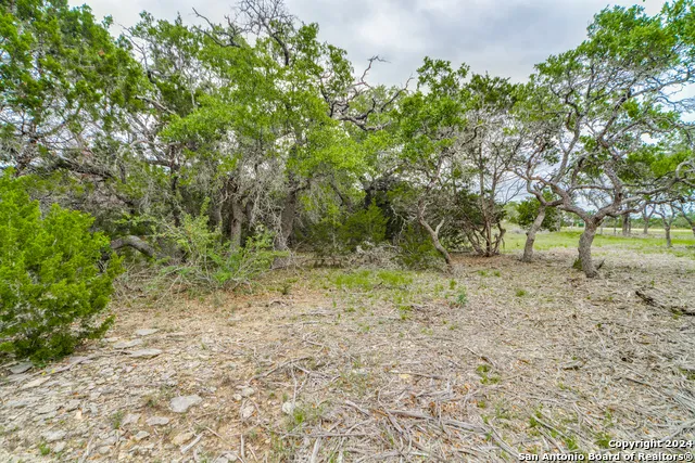 980 Scarlett Ridge Bulverde, TX 78163