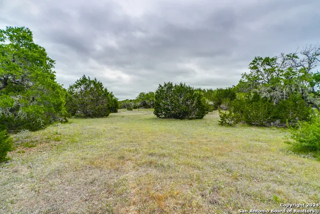 980 Scarlett Ridge Bulverde, TX 78163
