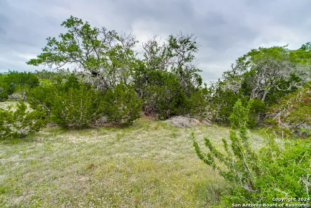980 Scarlett Ridge Bulverde, TX 78163