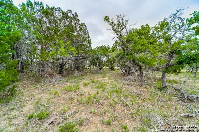 980 Scarlett Ridge Bulverde, TX 78163