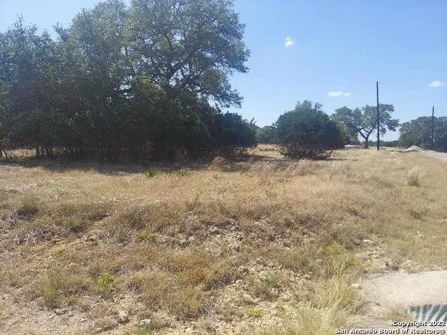 LOT 448 Williams wood Blanco, TX 78606