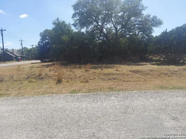 LOT 448 Williams wood Blanco, TX 78606