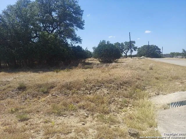 LOT 448 Williams wood Blanco, TX 78606