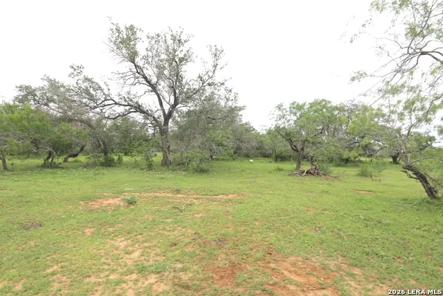 2257 County Road 475 Nixon, TX 78140