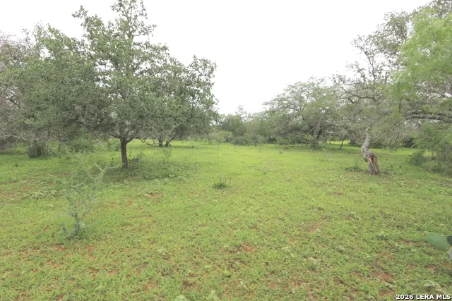 2257 County Road 475 Nixon, TX 78140