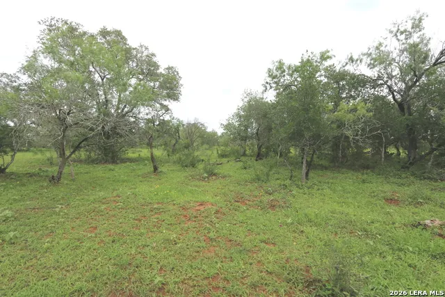 2257 County Road 475 Nixon, TX 78140