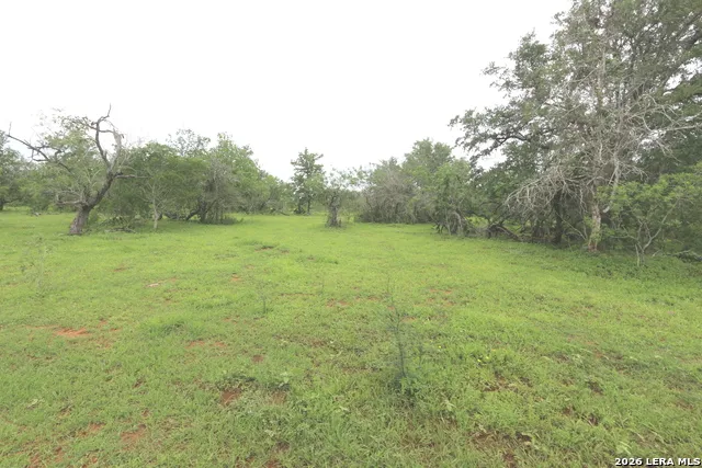 2257 County Road 475 Nixon, TX 78140