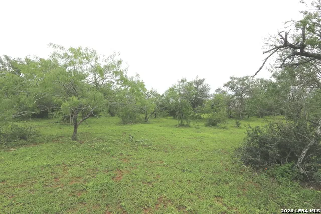2257 County Road 475 Nixon, TX 78140
