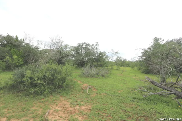 2257 County Road 475 Nixon, TX 78140