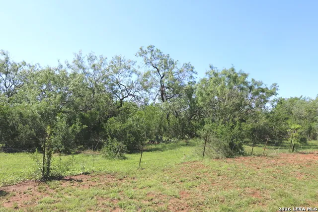 2257 County Road 475 Nixon, TX 78140