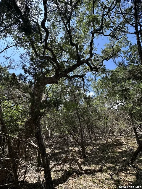 TBD Oak Lawn Dr Bandera, TX 78003
