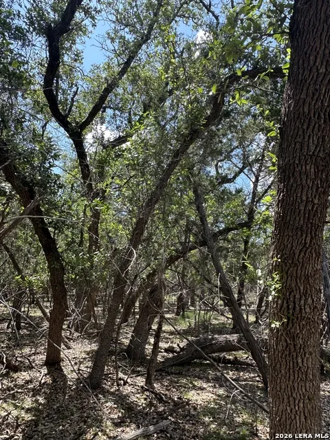 TBD Oak Lawn Dr Bandera, TX 78003