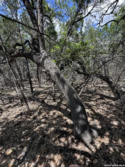 TBD Oak Lawn Dr Bandera, TX 78003