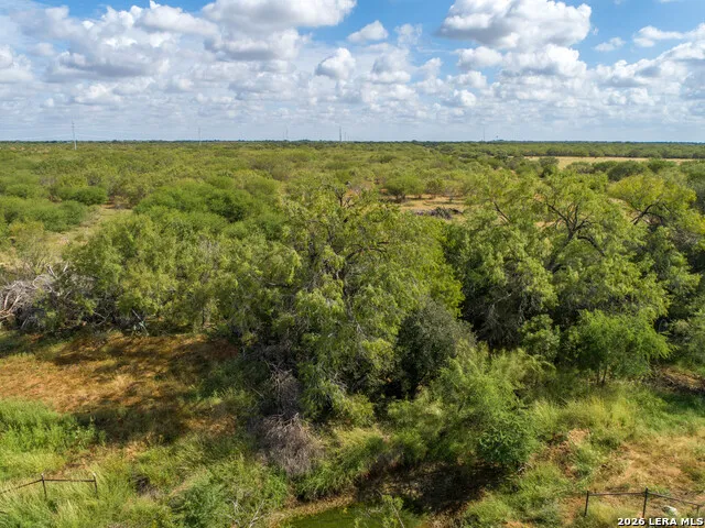 560 Pr Goose Creek Jourdanton, TX 78026