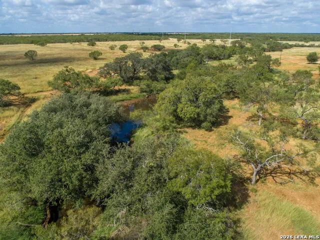 560 Pr Goose Creek Jourdanton, TX 78026