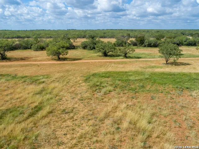 560 Pr Goose Creek Jourdanton, TX 78026