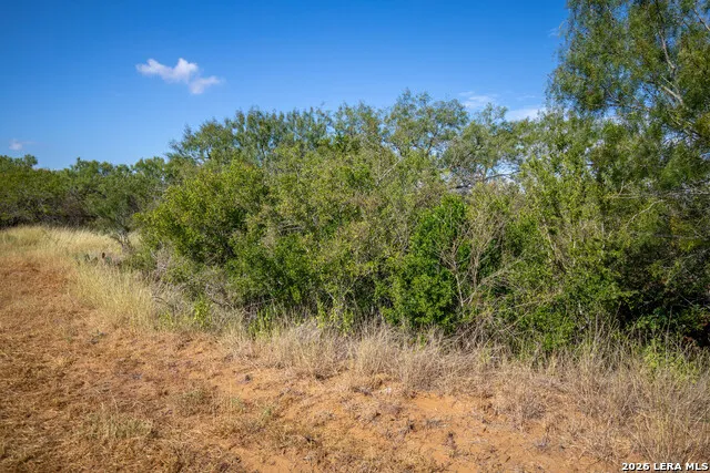 560 Pr Goose Creek Jourdanton, TX 78026