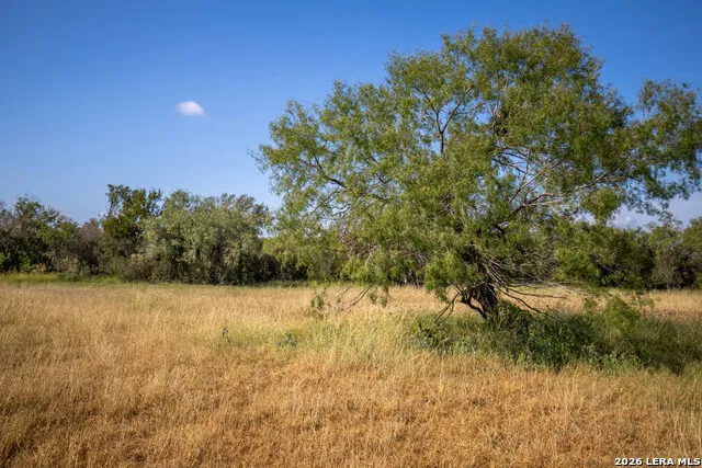 560 Pr Goose Creek Jourdanton, TX 78026