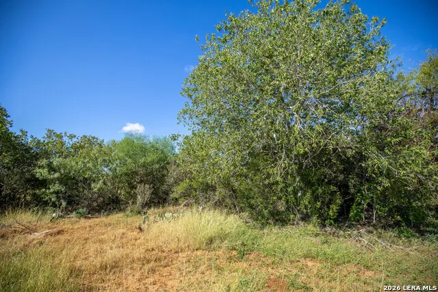 560 Pr Goose Creek Jourdanton, TX 78026
