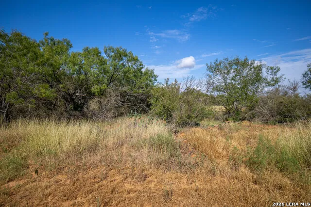 560 Pr Goose Creek Jourdanton, TX 78026