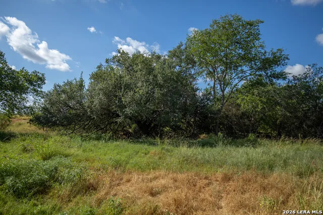 560 Pr Goose Creek Jourdanton, TX 78026