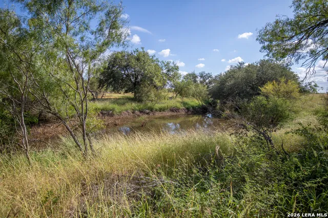 560 Pr Goose Creek Jourdanton, TX 78026