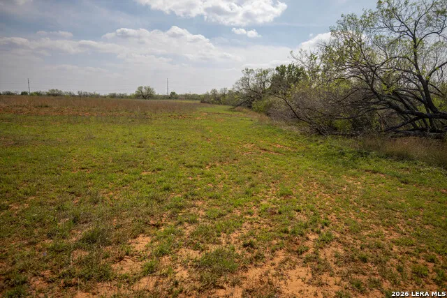 560 Pr Goose Creek Jourdanton, TX 78026