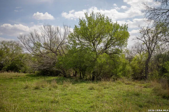 560 Pr Goose Creek Jourdanton, TX 78026