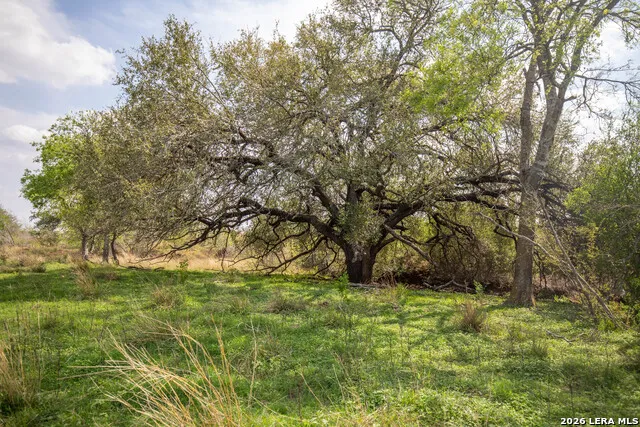 560 Pr Goose Creek Jourdanton, TX 78026