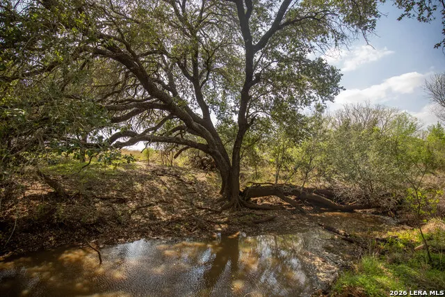 560 Pr Goose Creek Jourdanton, TX 78026