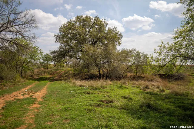 560 Pr Goose Creek Jourdanton, TX 78026