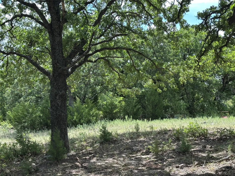 Well Service Road Bowie, TX 76230