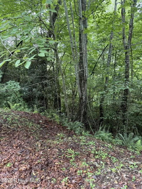 Lot 14 Mountain Vista Lane