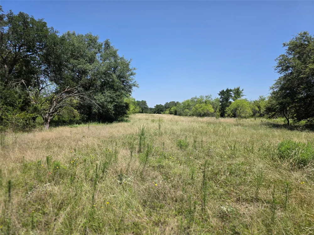 450 County Road 250 Gustine, TX 76455