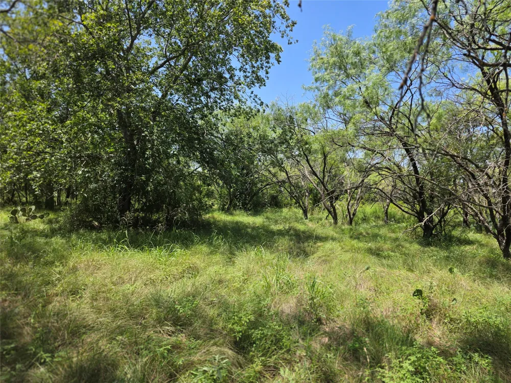 450 County Road 250 Gustine, TX 76455
