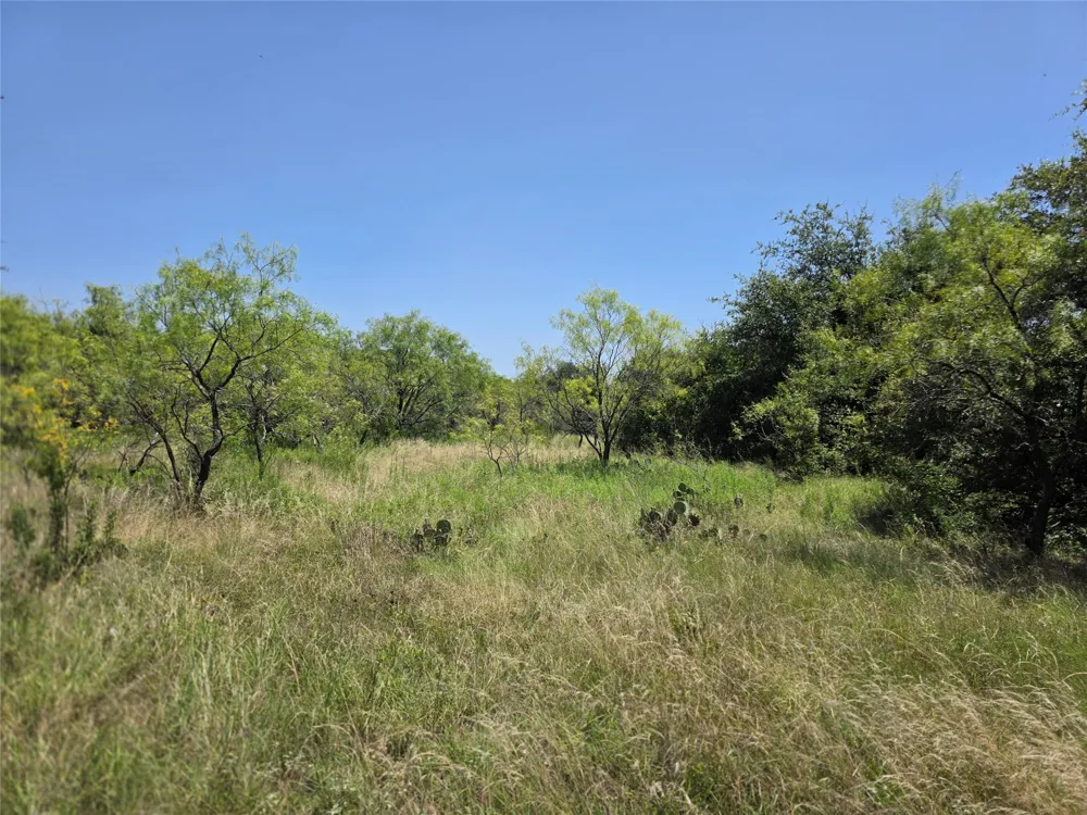 450 County Road 250 Gustine, TX 76455