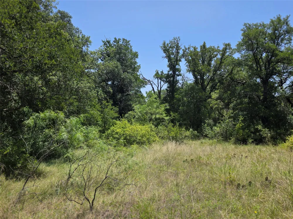 450 County Road 250 Gustine, TX 76455