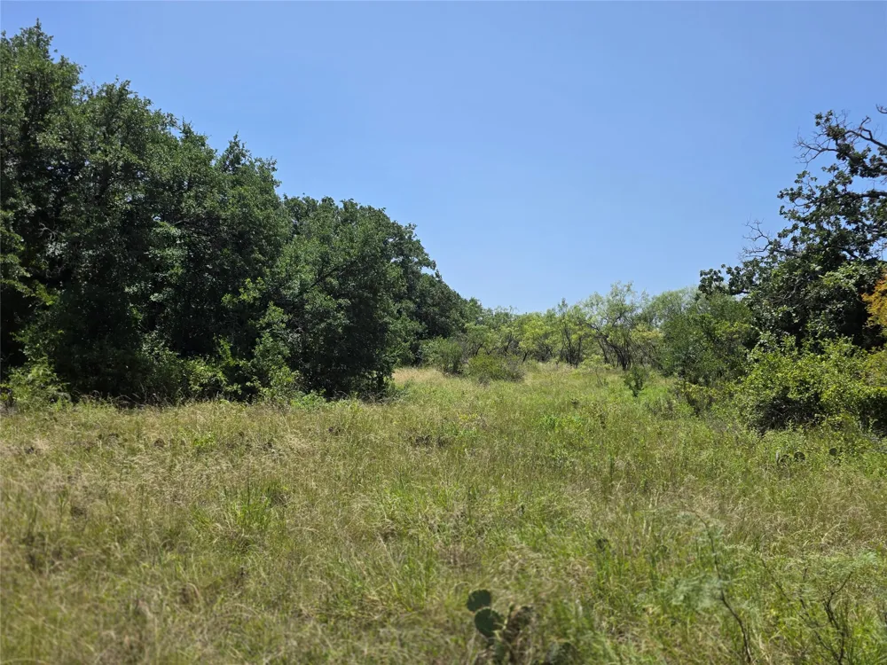 450 County Road 250 Gustine, TX 76455