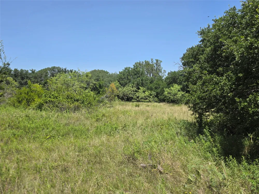 450 County Road 250 Gustine, TX 76455
