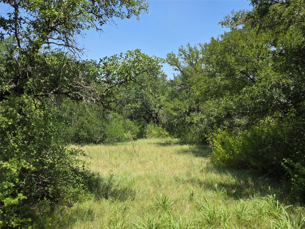 450 County Road 250 Gustine, TX 76455