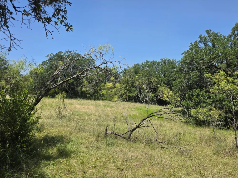 450 County Road 250 Gustine, TX 76455