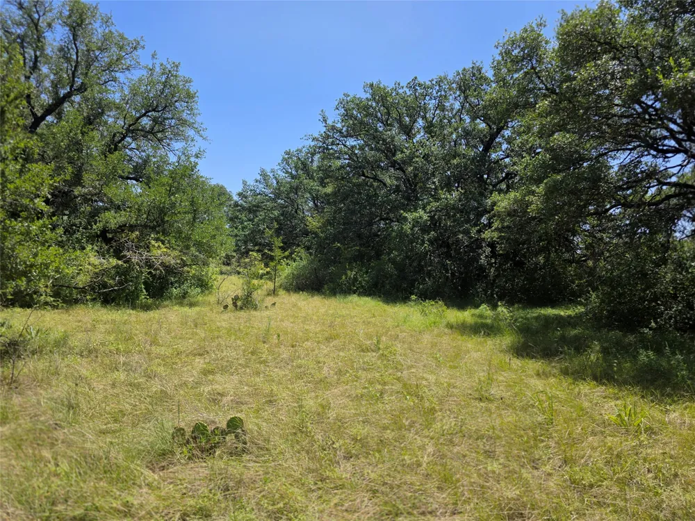 450 County Road 250 Gustine, TX 76455