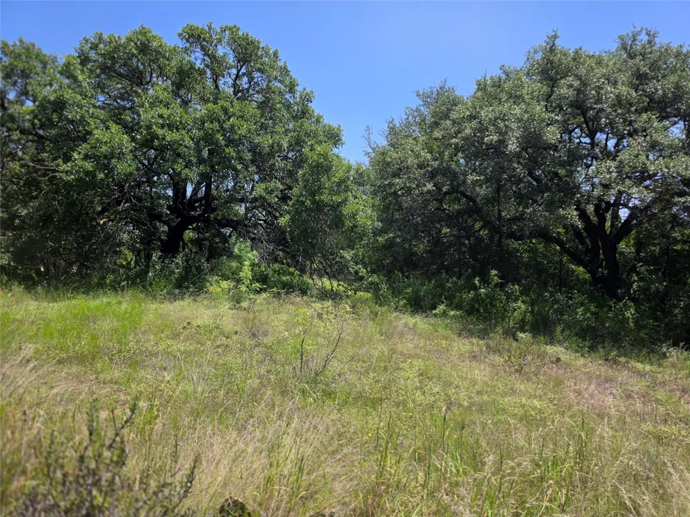 450 County Road 250 Gustine, TX 76455