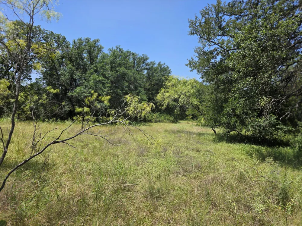 450 County Road 250 Gustine, TX 76455