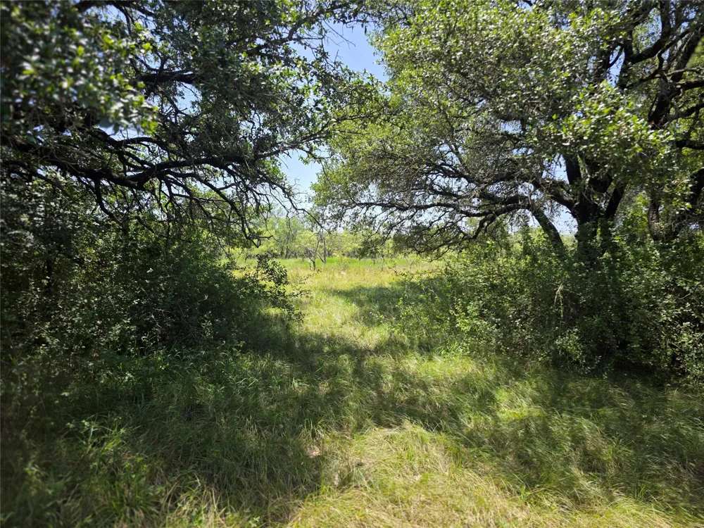 450 County Road 250 Gustine, TX 76455