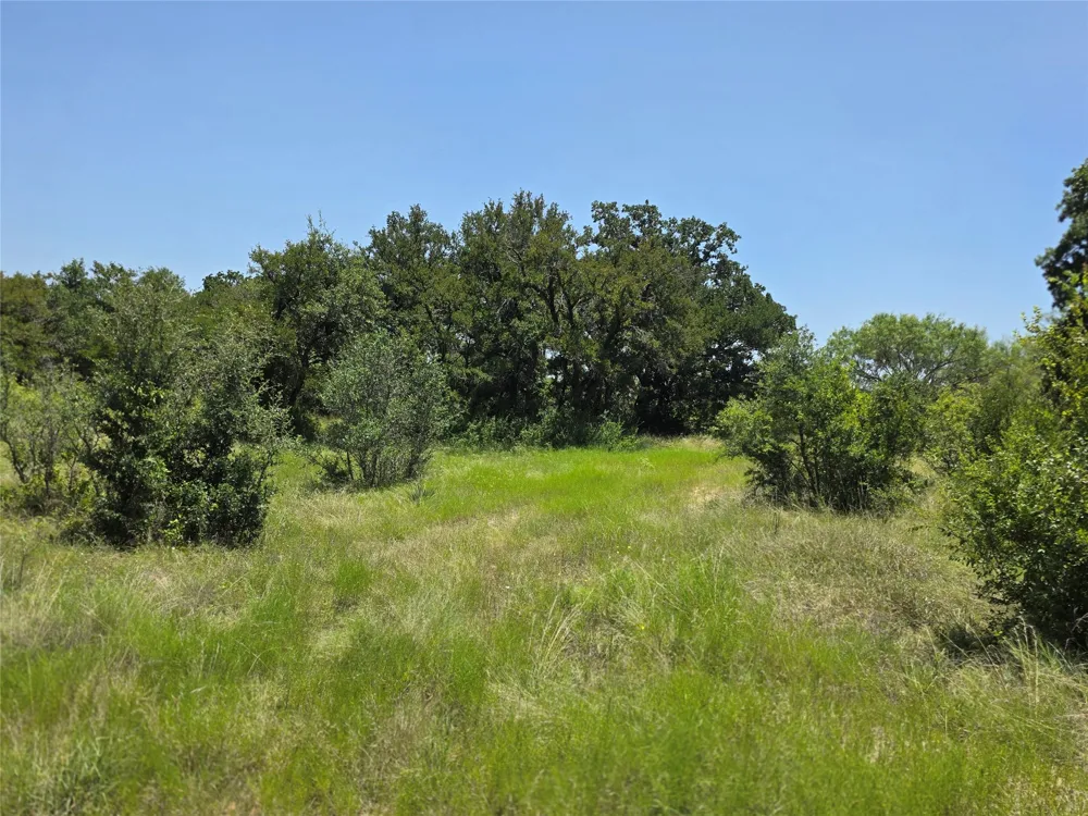 450 County Road 250 Gustine, TX 76455